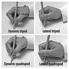 Developmental Progression Of Pencil Grasp