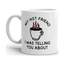 My Hot Friend I Was Telling You About Mug Funny Sarcastic Fire Coffee  Graphic Novelty Cup-11oz - Walmart.com