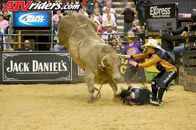 pbr professional bull riding