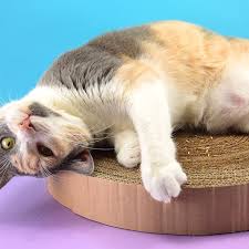 Some people have theorized that cats scratch after napping as their way of stretching. Diy Cardboard Cat Scratcher Dream A Little Bigger