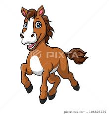 cute horse cartoon on white background