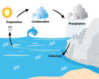 Water Cycle Worksheets