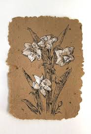 White Narcissus Black Ink Drawing Handmade Paper Original