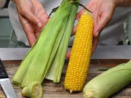 microwave corn on the cob in husk