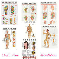 Details About 7pcs English Acupuncture Meridian Acupressure Points Posters Chart Wall Map Hu