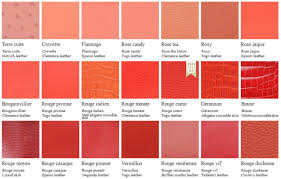 Hermes Color Chart Heychenny