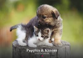 puppies kittens teldon