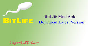 Actually, no, there is no official release of this game for the pc platform. Bitlife Life Simulator Mod Apk 2021 Download Latest Version