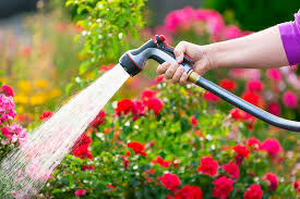 garden hose sizes standard length