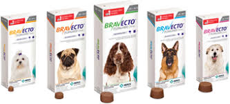 Flea Tick Chewables For Dogs Canine Oral Medication