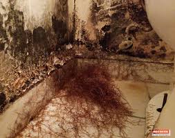 black mold pictures causes and signs