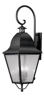 Trans Globe Lighting 4181 Bk Botanica 15 3 4 Outdoor Coach Lantern Buy Online 4181 Bk Outdoor Lighting Supply