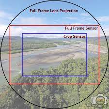 full frame crop sensors