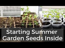 planting an heirloom seed garden this