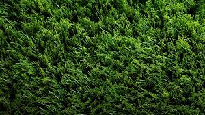 Football Grass Artificial Grass