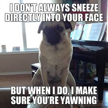 I don&#39;t always sneeze directly into your face - Memes Comix Funny Pix via Relatably.com