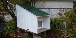We have two easy and cheap diy outdoor cat shelter projects that will improve the living conditions of one or more stray cats. Building A Cat House To Control Feral Cat Populations
