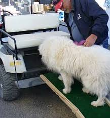 Old kid's slide with rubber matting Diy Dog Ramps For Cars Trailers Or Boats Make Build Dog Stuff