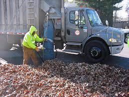 fairfax county could end leaf vacuum