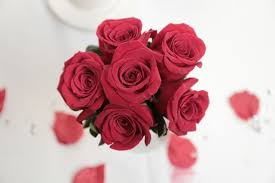 romantic good morning roses pictures