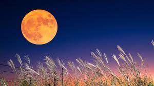 Full Moon September 2022 Meaning - Harvest Moon: Spiritual meaning behind September's Full Moon | Woman & Home  |