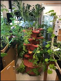 Tower Garden Leads To An Exciting