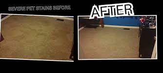 carpet cleaning all about cleaning