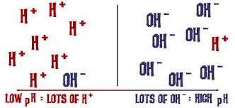 Chem4kids Com Reactions Acids And Bases Ii