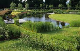 Acres Wild Views And Vistas Curved Pond