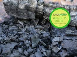 It's been used for treating skin, water filtration, teeth whitening, oral health, mask filters, diarrhea, intestinal gas, and more. Wood Ashes As Fertilizer For Cultivation Under Cover