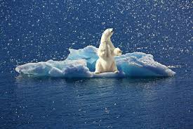 The Myth That The Polar Bear Population Is Declining