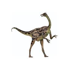 ガリミムス | 恐竜博物館.web