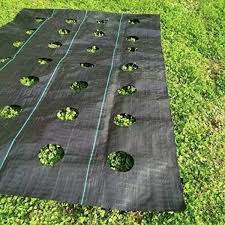 Weed Control Fabric Planting Holes