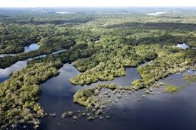 Manaus) — столица штата амазонас (порт. Manaus Die Dschungelmetropole Mitten Im Amazonas