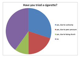 Pie Chart Questionnaire Results