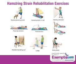 Hamstring strain exercises are important for recovering from hamstring injuries. Exemptia Care On Twitter Few Exercises To Relieve From Hamstring Strain Exemptiacare Arthritis Rheum Pain Ra Rheumatoidarthritis Https T Co Jdhozzrqcv