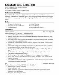 Common activities highlighted on a seaman resume sample are cleaning the deck, applying paint on metal parts to prevent rust, repairing rusted areas, loading and unloading cargo. Ordinary Resume Example