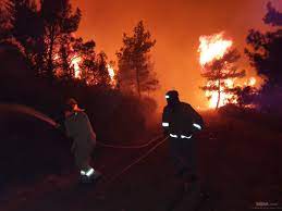 SON DAKİKA | Marmaris'te orman yangını mı çıktı? 21 Haziran Muğla Marmaris  Orman yangını son durum bilgileri | VALİ'DEN