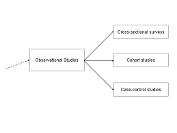 Keck Year   Evidence Based Medicine   Observational Studies and Trials   Types of Studies Descriptive Studies Observational Analytic Studies Cross  Sectional studies Ecologic studies Case Control studies    