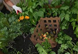 Keyhole Gardening 101 All You Need To