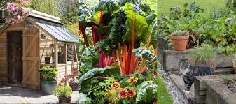 Small Vegetable Garden Ideas 15 Ways