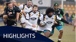 zebre rugby v wasps pool 2 highlights