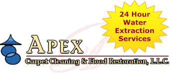 apex carpet cleaning and flood