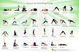 standing yoga poses for beginners