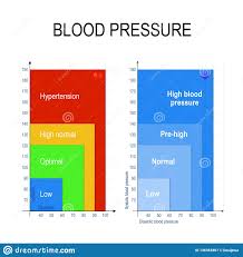 Blood Pressure Chart Stock Vector Illustration Of