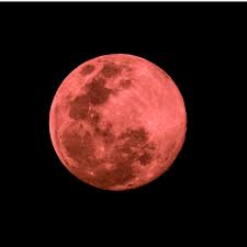 Harvest Moon 2022 Movie - Supermoon 2022 Date: When and Where to Watch the Super Buck Moon