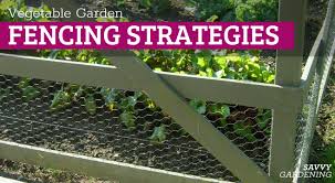 fencing a vegetable garden options and