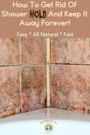 Black Mold In The Shower Here S How To