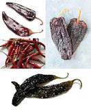 what-is-a-colorado-chile-pepper