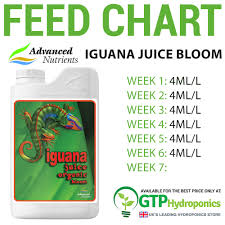 Iguana Juice Feeding Chart Related Keywords Suggestions